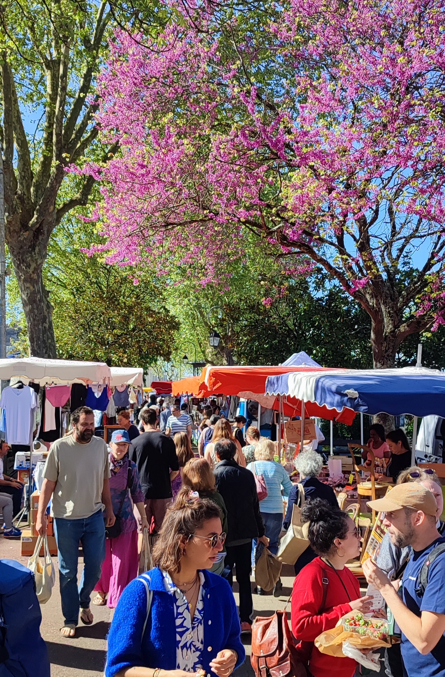 marché hebdo