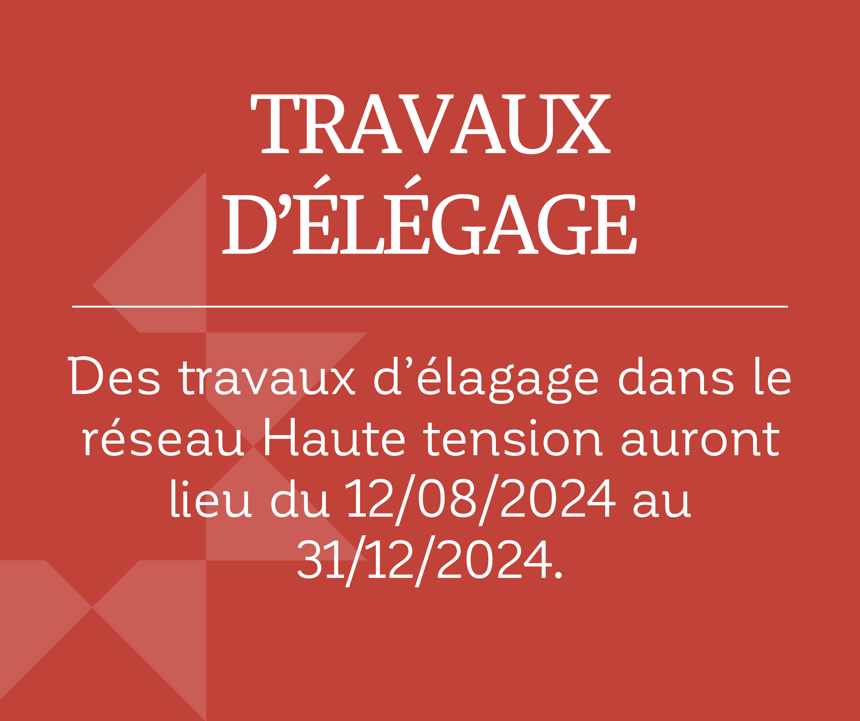 travaux élagage 120824